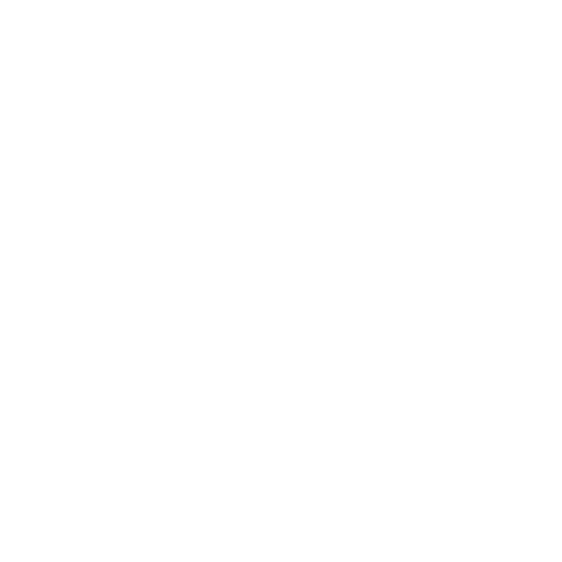 Netgaming Social Casino Game Studio Logo